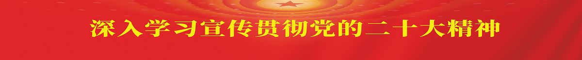 深入學(xué)習(xí)宣傳貫徹黨的二十大精神